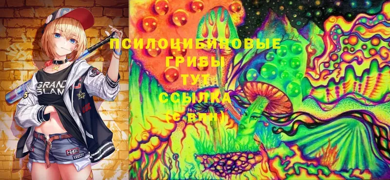 Псилоцибиновые грибы Magic Shrooms  Воткинск 